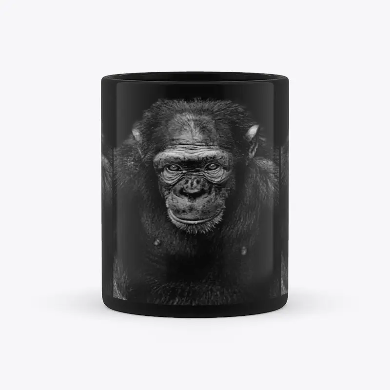 Chimpanzee